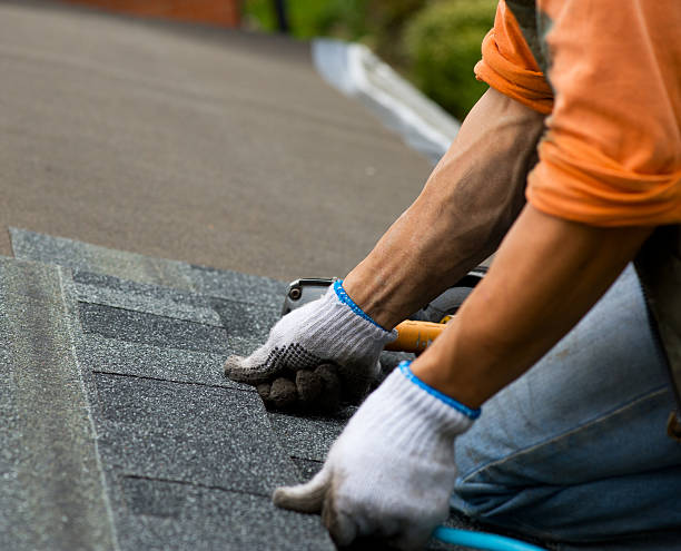 Best Roof Gutter Cleaning  in Smithfield, NC